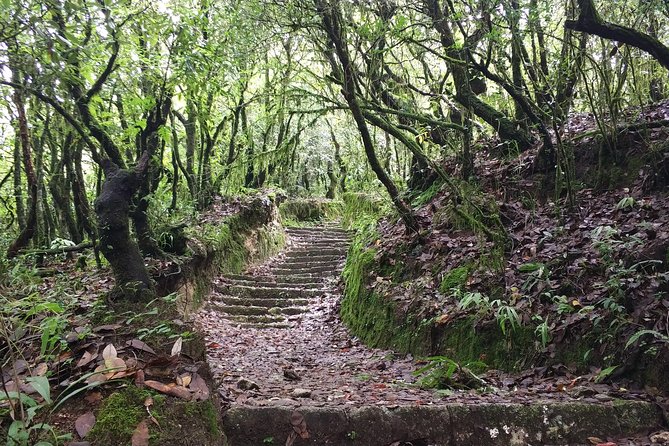 Nagi Gumba, a peaceful Buddhist monastery nestled inside Shivapuri National Park, surrounded by dense forests and hills, with nuns in red robes, prayer flags, and a serene atmosphere ideal for meditation and hiking.