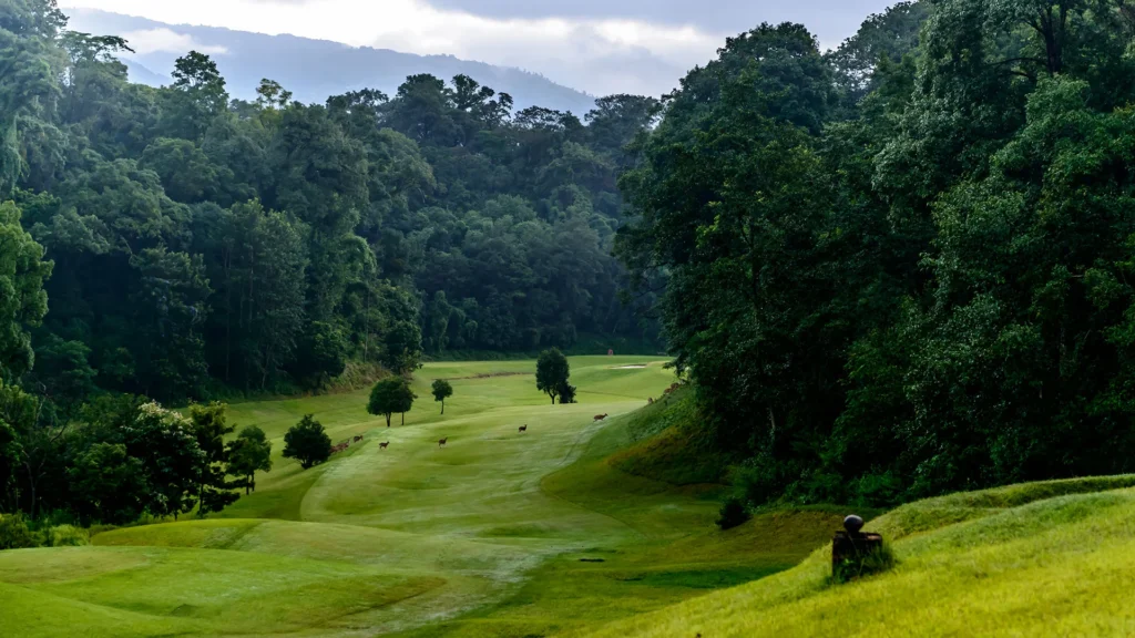 Deer in gokarna forest resort Nepal