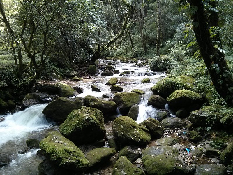 Sundarijal, a scenic area on the outskirts of Kathmandu, Nepal, known for its lush forests, waterfalls, and starting point for popular hiking trails in the Shivapuri National Park.