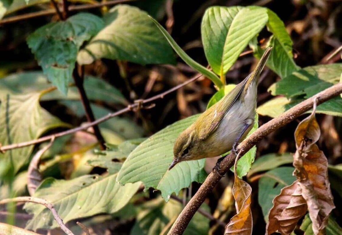 IMG_4583-e1742264489910