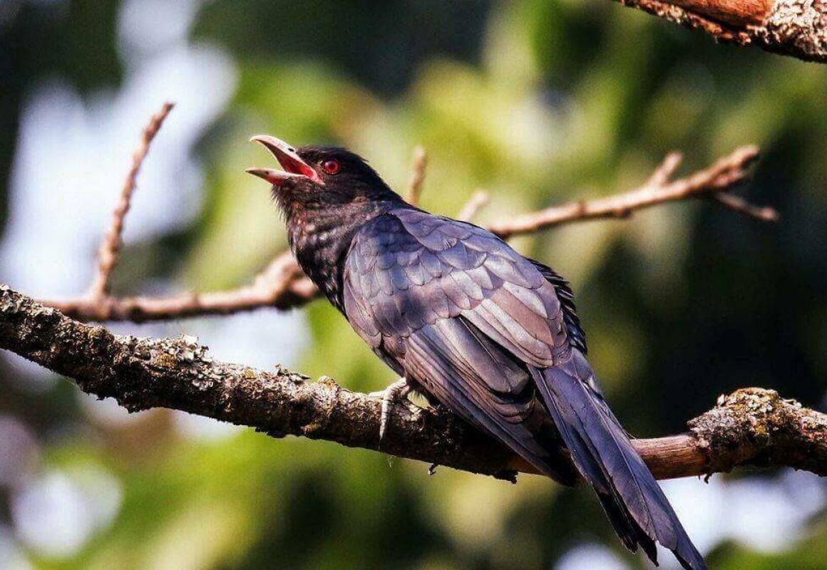 IMG_4584-e1742264568874