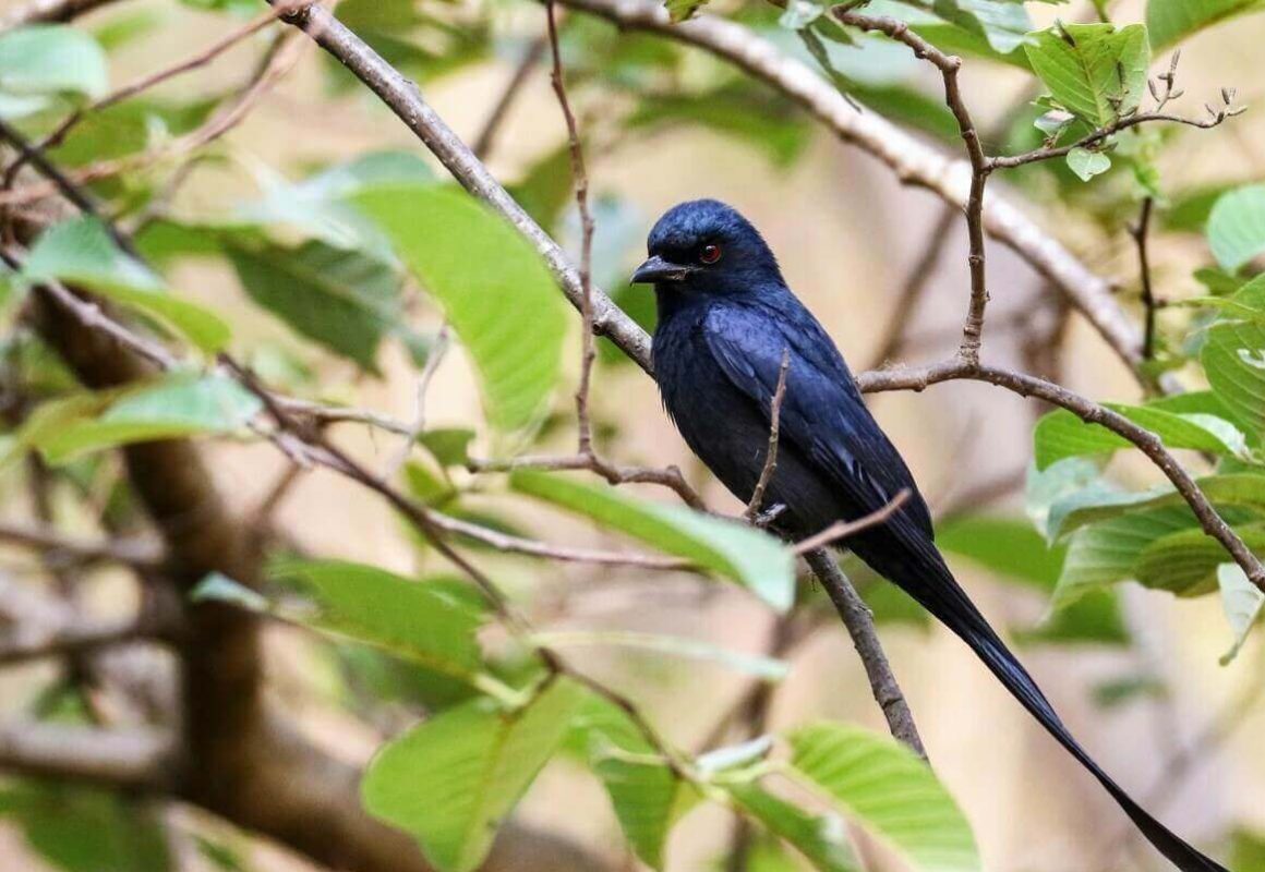 IMG_4585-e1742264649834