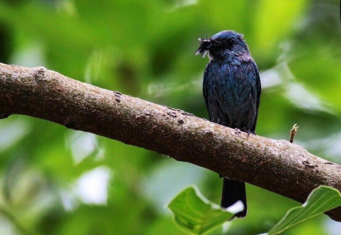 IMG_4589-e1742264679777